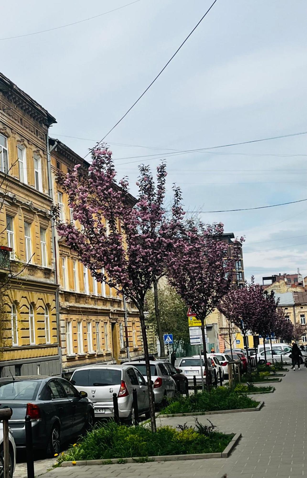 Iren Forum Apartment *